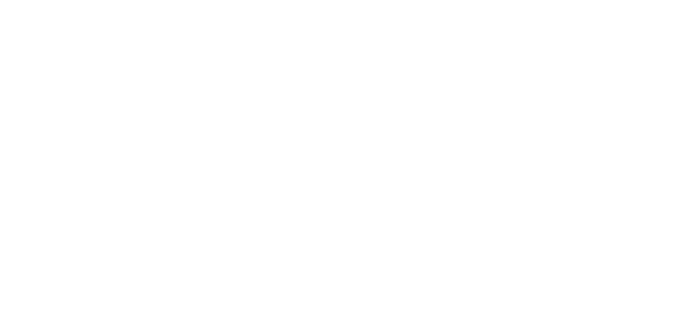 Ativo Peças Eletrônica Diesel